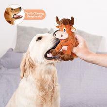 Load image into Gallery viewer, PUHOHUN Squeaky Dog Toys Dog Plush Toy for Large Chewers Dog Toys with Crinkle Paper and Squeaker Tug of War Dog Toys
